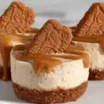 Vegan Cookie Butter Cheesecakes Recipe