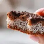 Chocolate-Dipped Florentine Lace Cookies Recipe